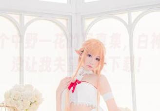 看了这个中野一花的写真集，白神泱果然没让我失望，快下载！