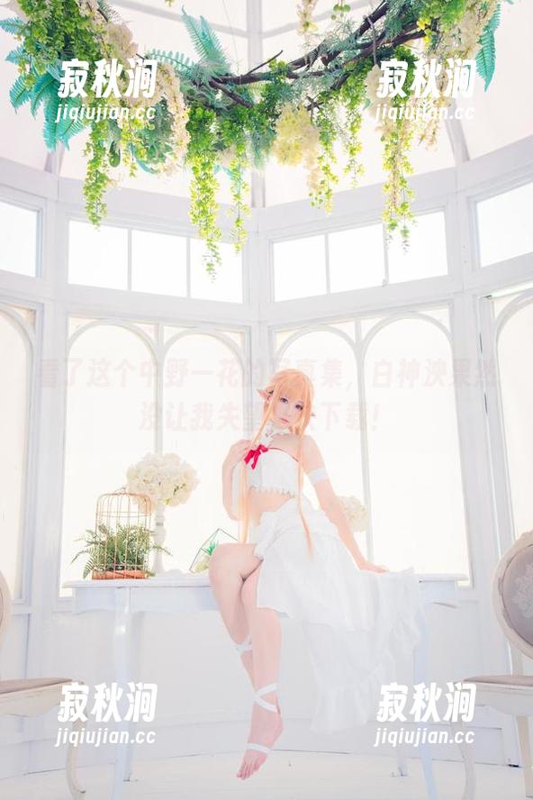 看了这个中野一花的写真集，白神泱果然没让我失望，快下载！